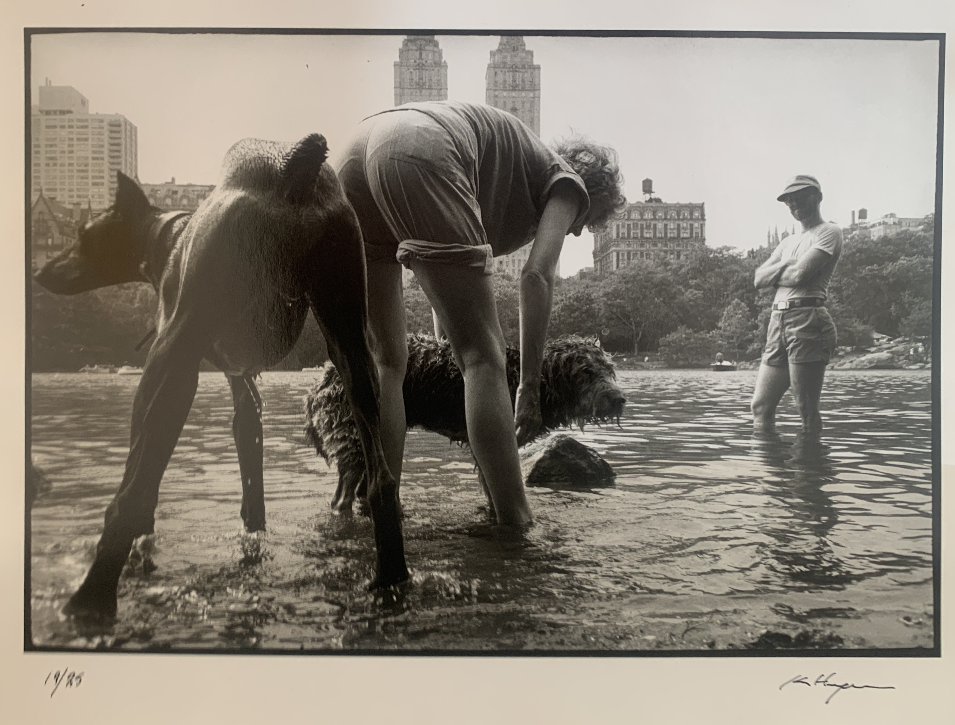 Ken Heyman, Dog Wash Ken Heyman, Dog Wash