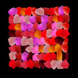 Fotografien, 7 – Pi 81 polygonal rouge sur fond noir – Tirage photographique argentique, Philippe Leveau