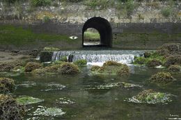 Fotografía, L'oeil de la rivière du Faou, Philippe Grincourt