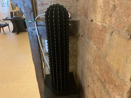 Skulpturen, Cactus, Romain Tran-Thi-Bip