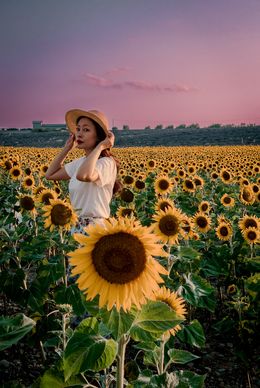 Photographie, Sunflowers, Rodrigo