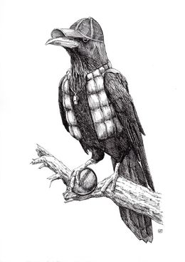 Fine Art Drawings, Raven, Guillaume Piot