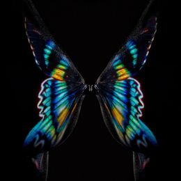 Photography, Butterfly or Breast, Giuliano Bekor