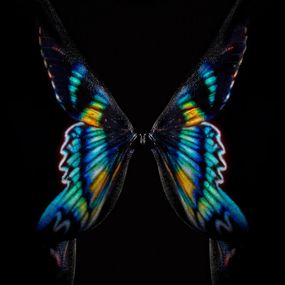 Photographie, Butterfly or Breast, Giuliano Bekor