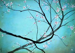 Peinture, Turquoise et Sakura, Sophie Duplain