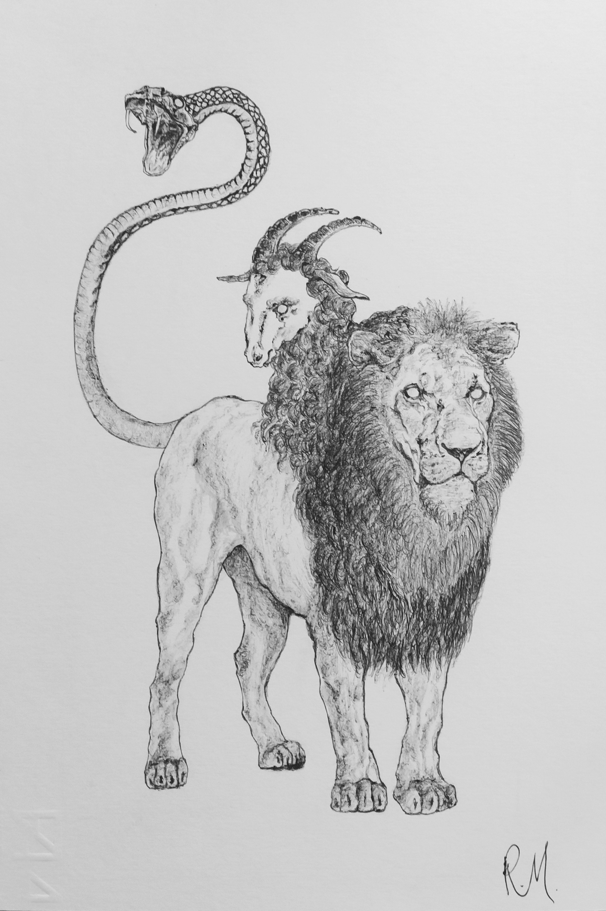 Rossella Mercedes, Chimera Rossella Mercedes, Chimera