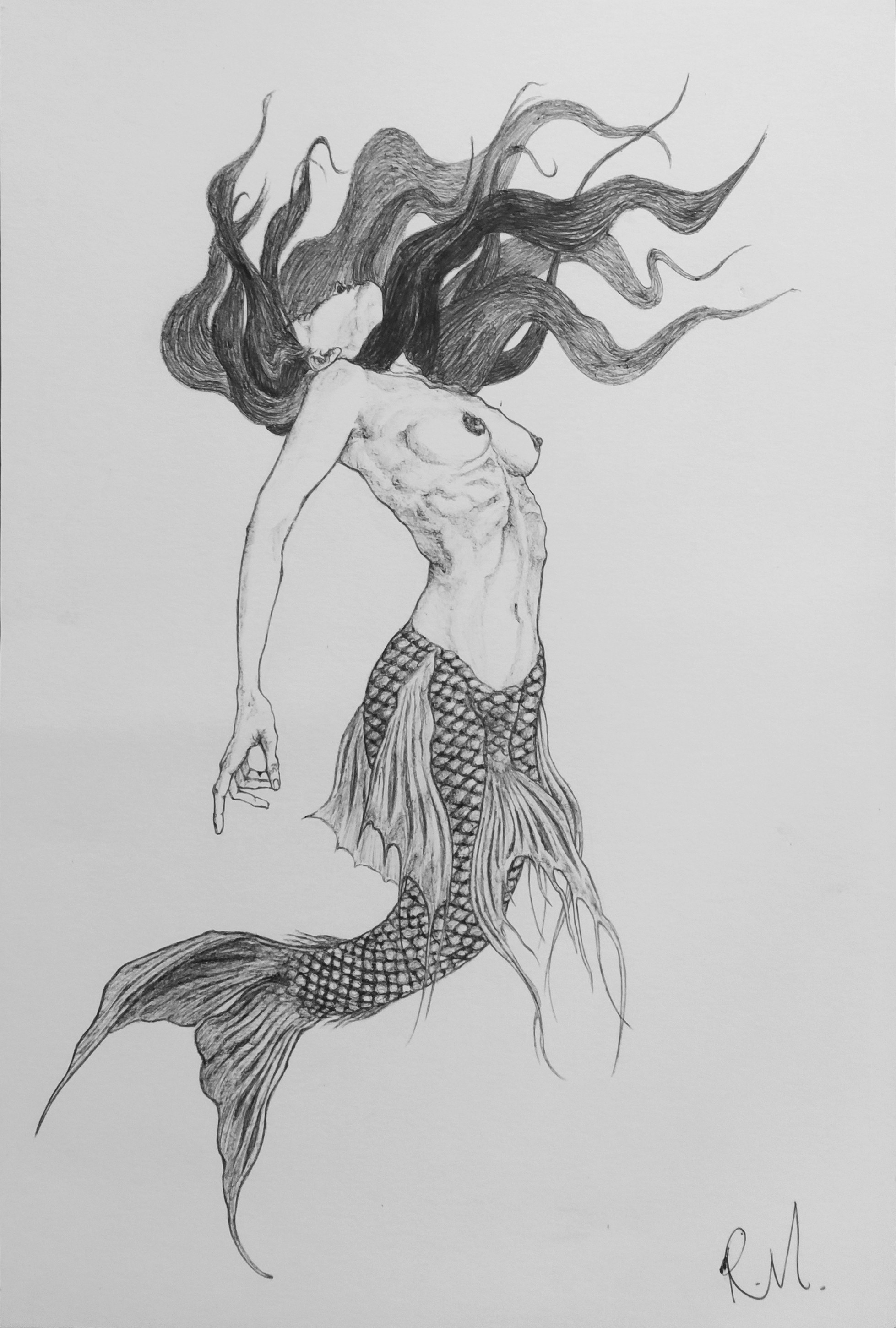Rossella Mercedes, Sirena Rossella Mercedes, Sirena