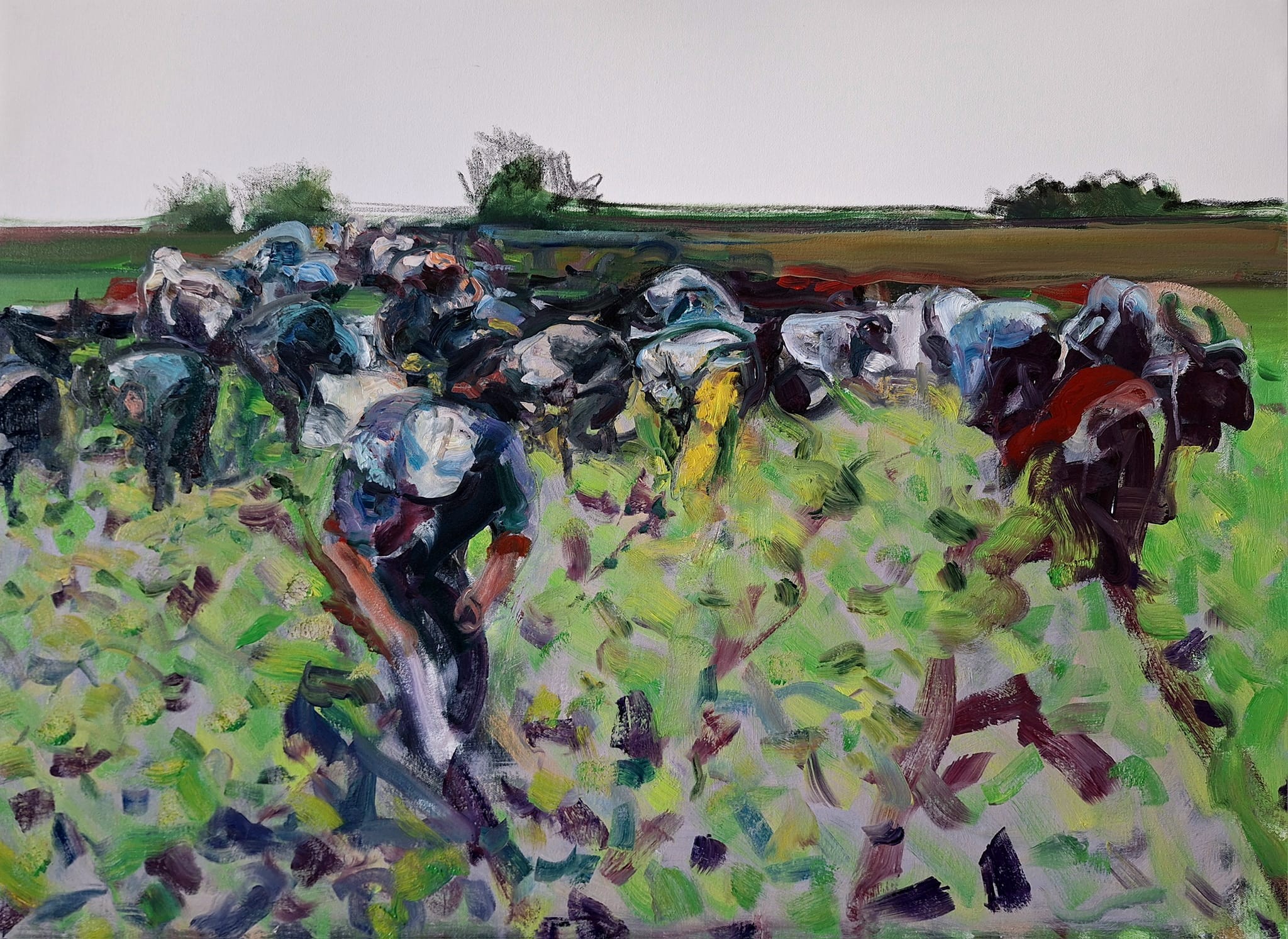 Ilia Balavadze, In the Field Ilia Balavadze, In the Field