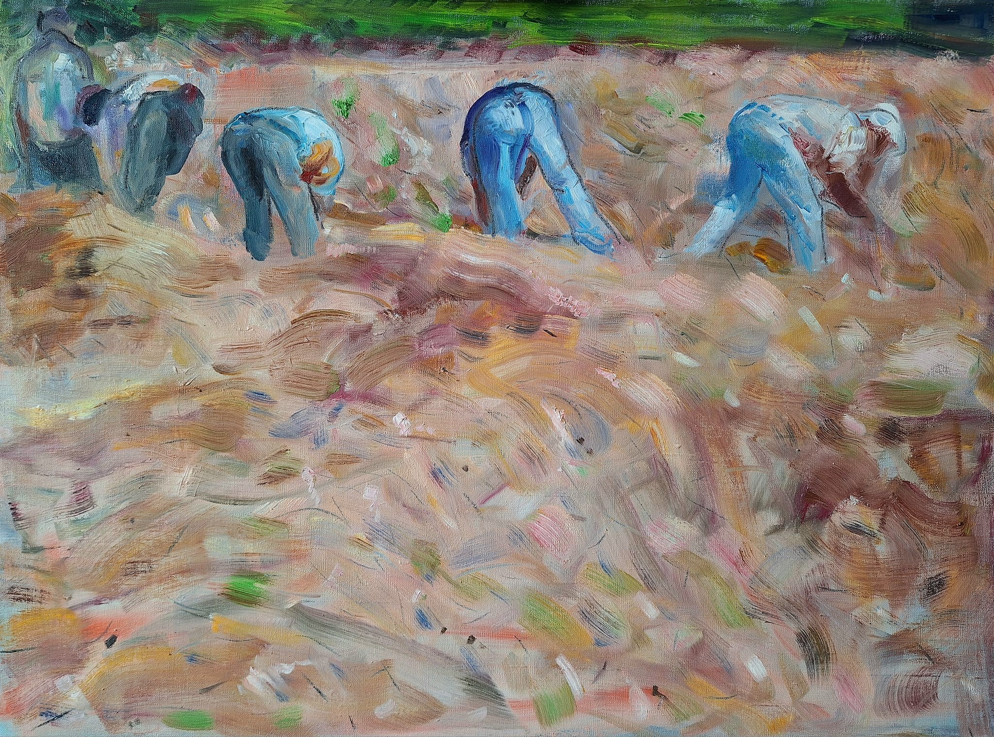 Ilia Balavadze, In the Field Ilia Balavadze, In the Field