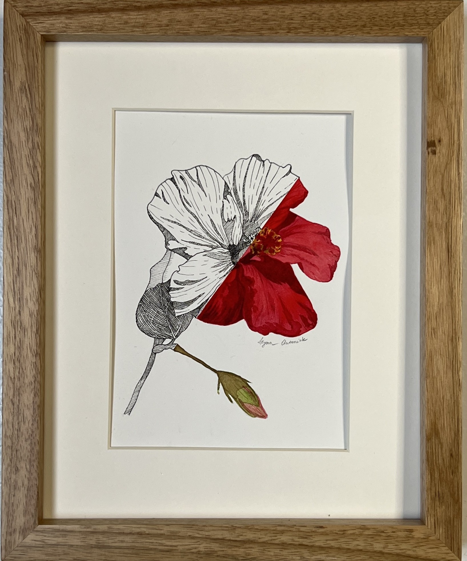 Iryna Antoniuk, Garden hibiscus flower Iryna Antoniuk, Garden hibiscus flower