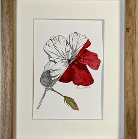 Fine Art Drawings, Garden hibiscus flower, Iryna Antoniuk