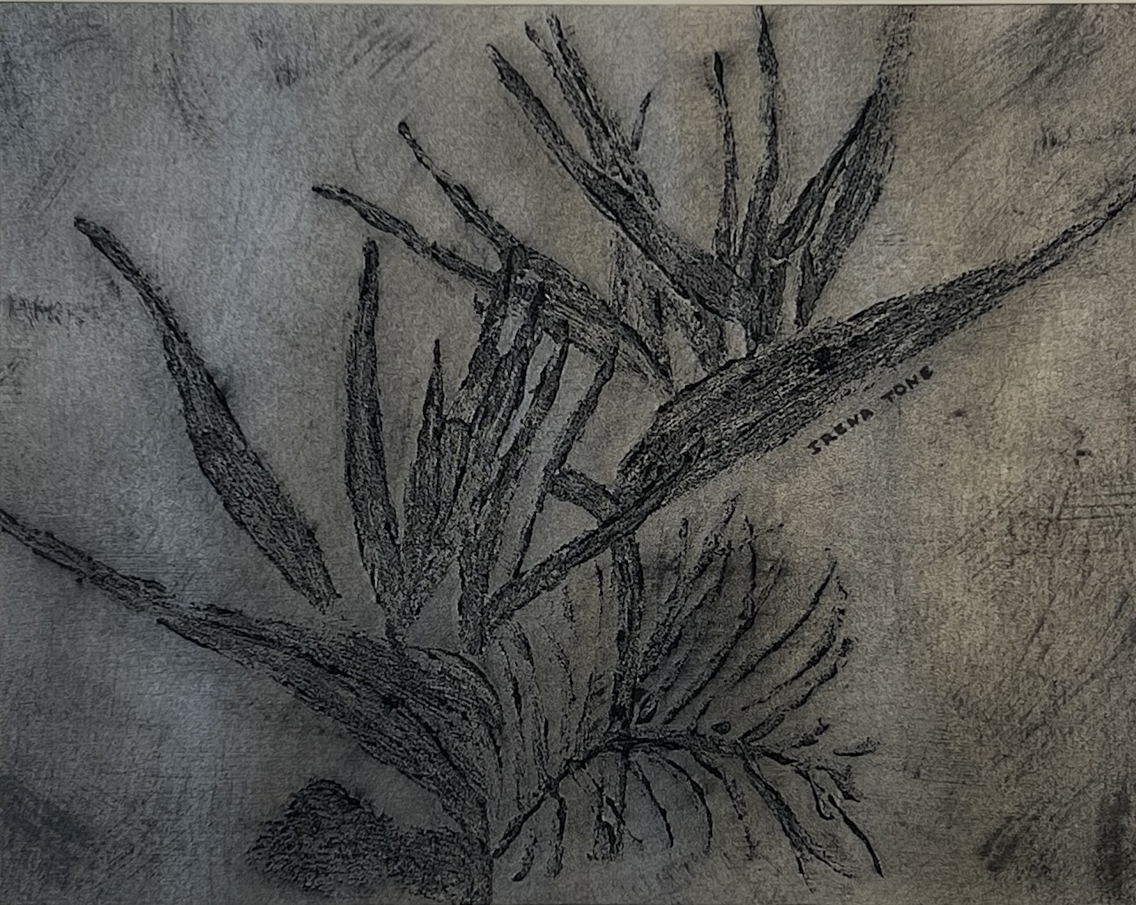 Irena Tone, Silver birds of paradise Irena Tone, Silver birds of paradise