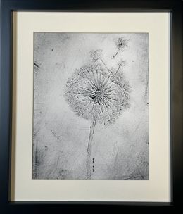 Gemälde, Black & white dandelions, Irena Tone