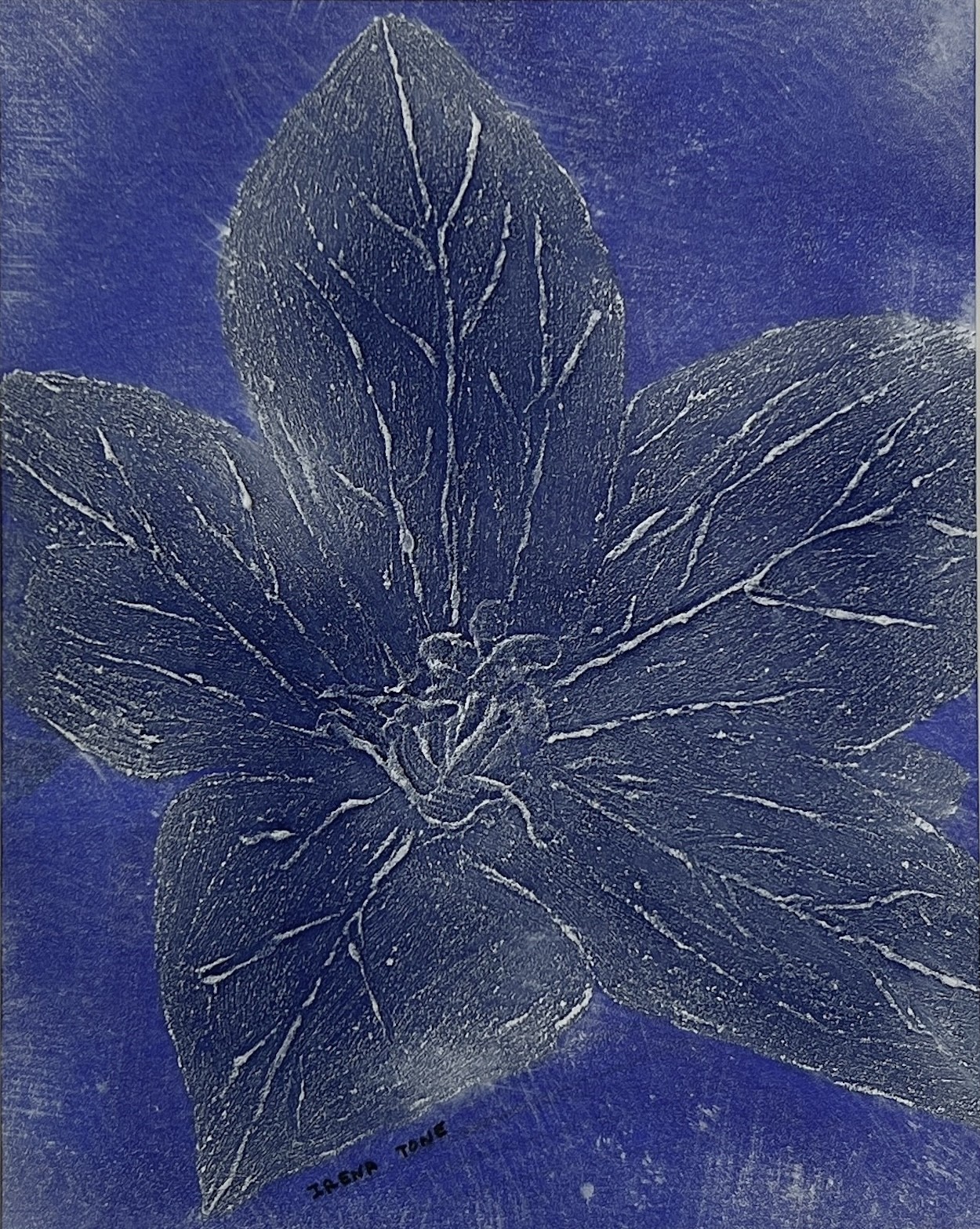 Irena Tone, Blue tropical flower Irena Tone, Blue tropical flower