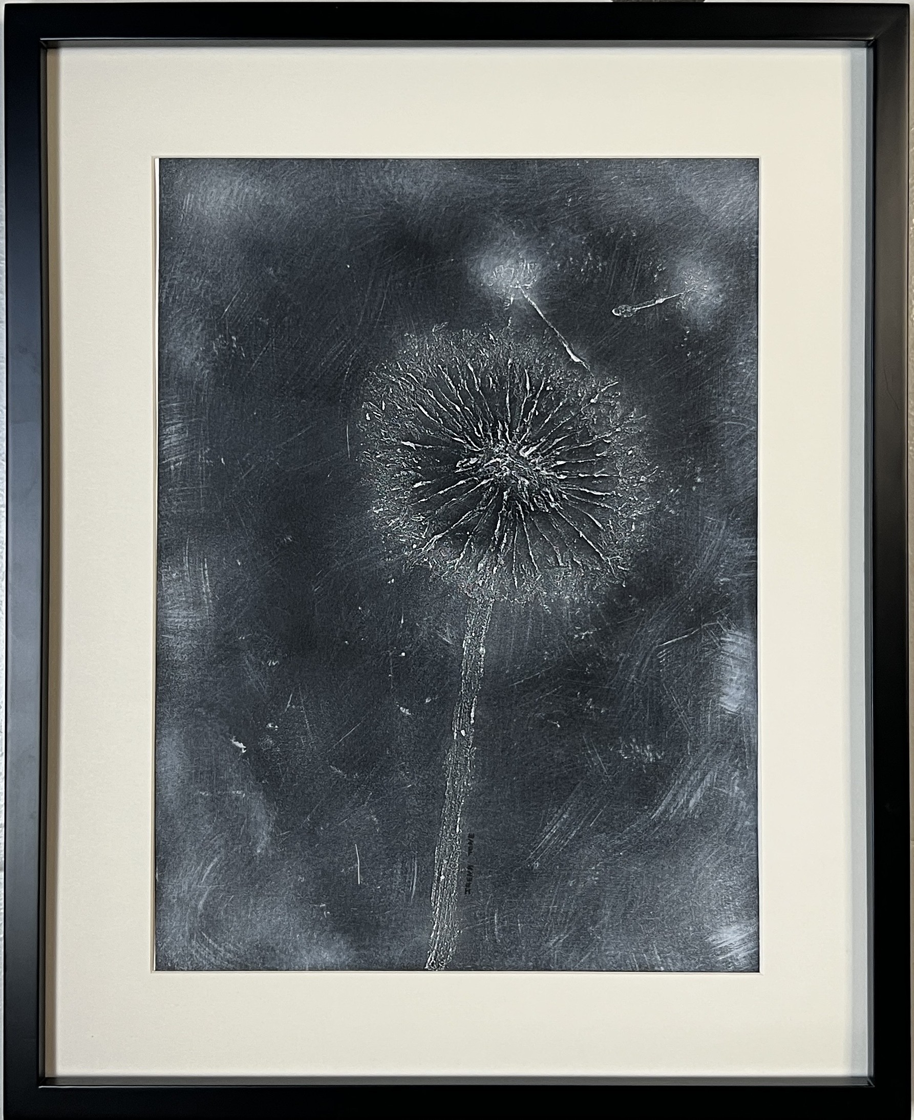Irena Tone, Dandelion Irena Tone, Dandelion