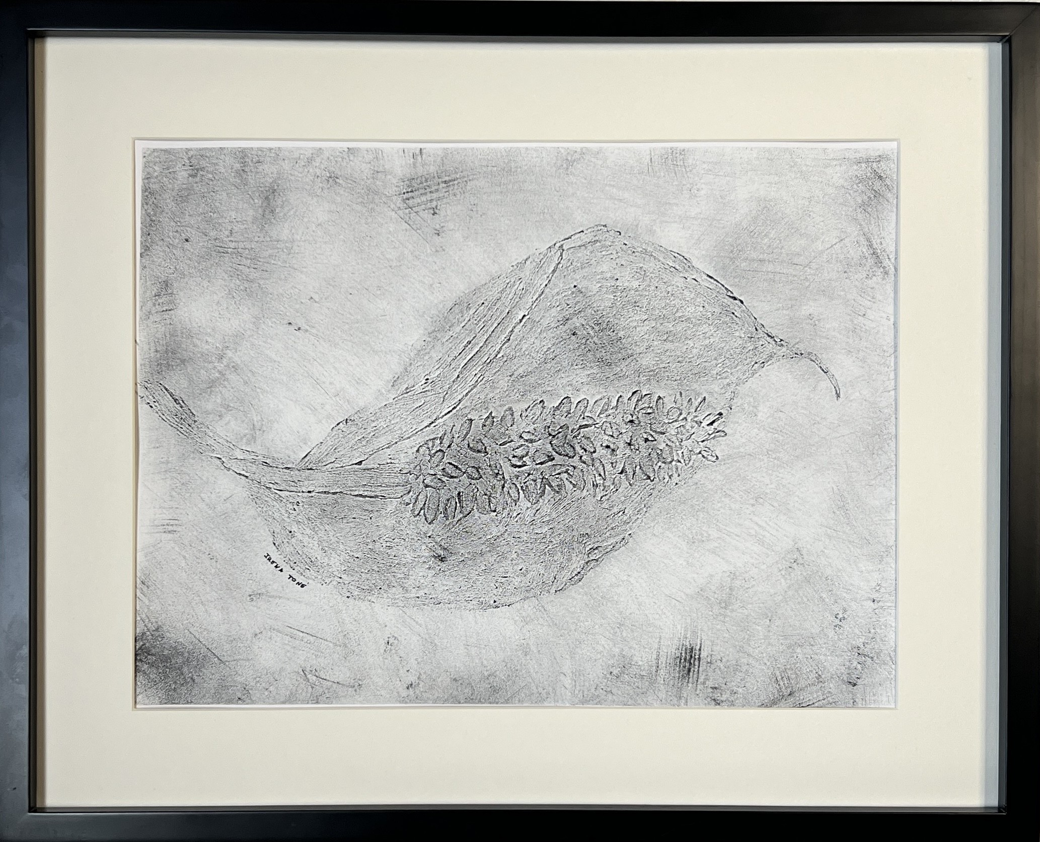 Irena Tone, Black & white anthurium Irena Tone, Black & white anthurium