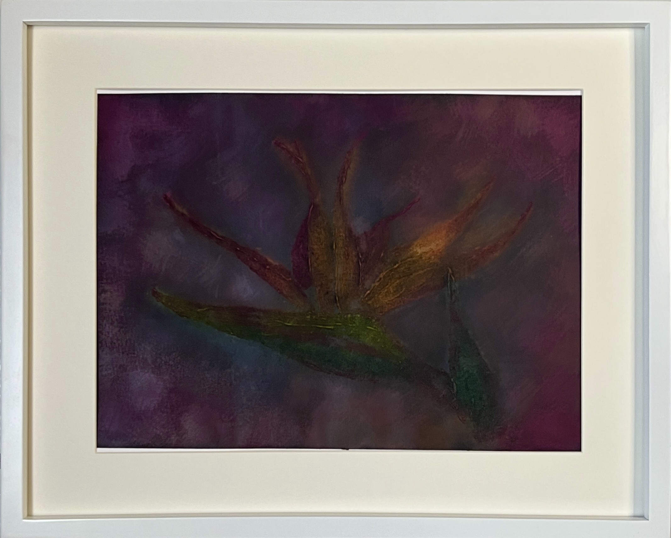 Irena Tone, Wild bird of paradise Irena Tone, Wild bird of paradise