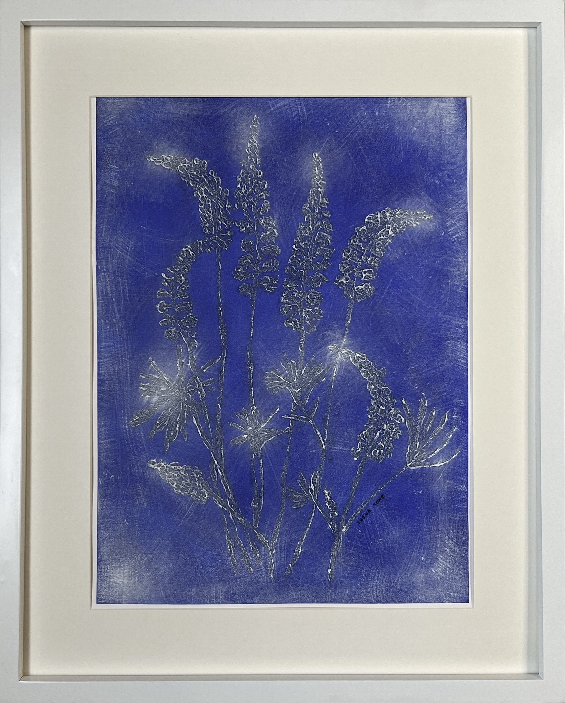 Irena Tone, Lavander Irena Tone, Lavander