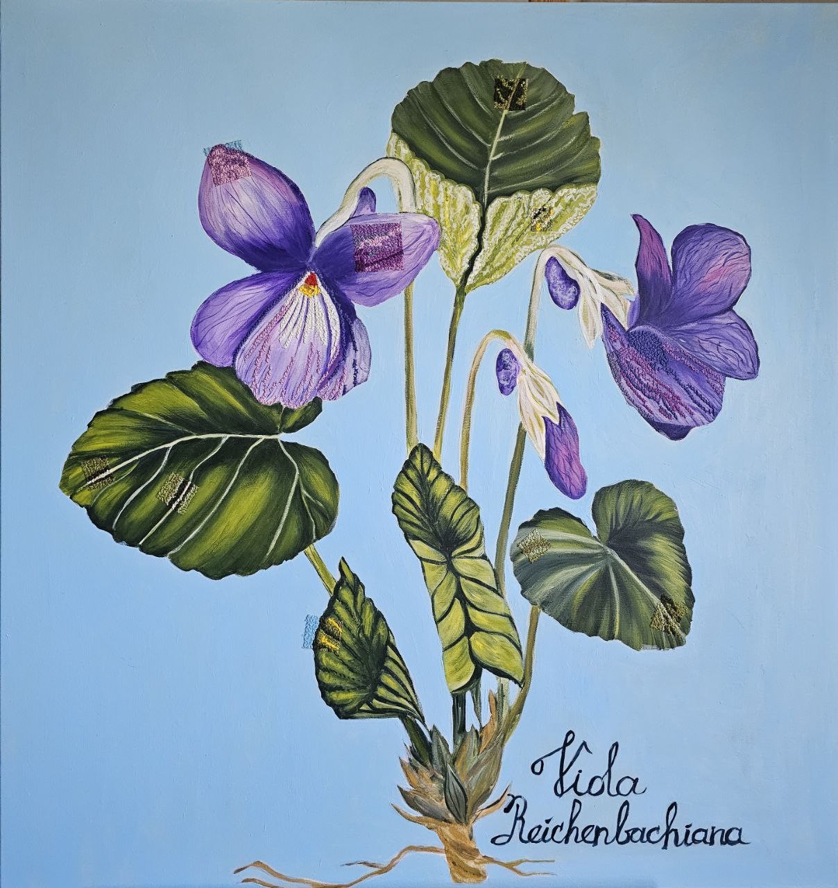 Tetiana Adamovich, Grandmother's viola Tetiana Adamovich, Grandmother's viola
