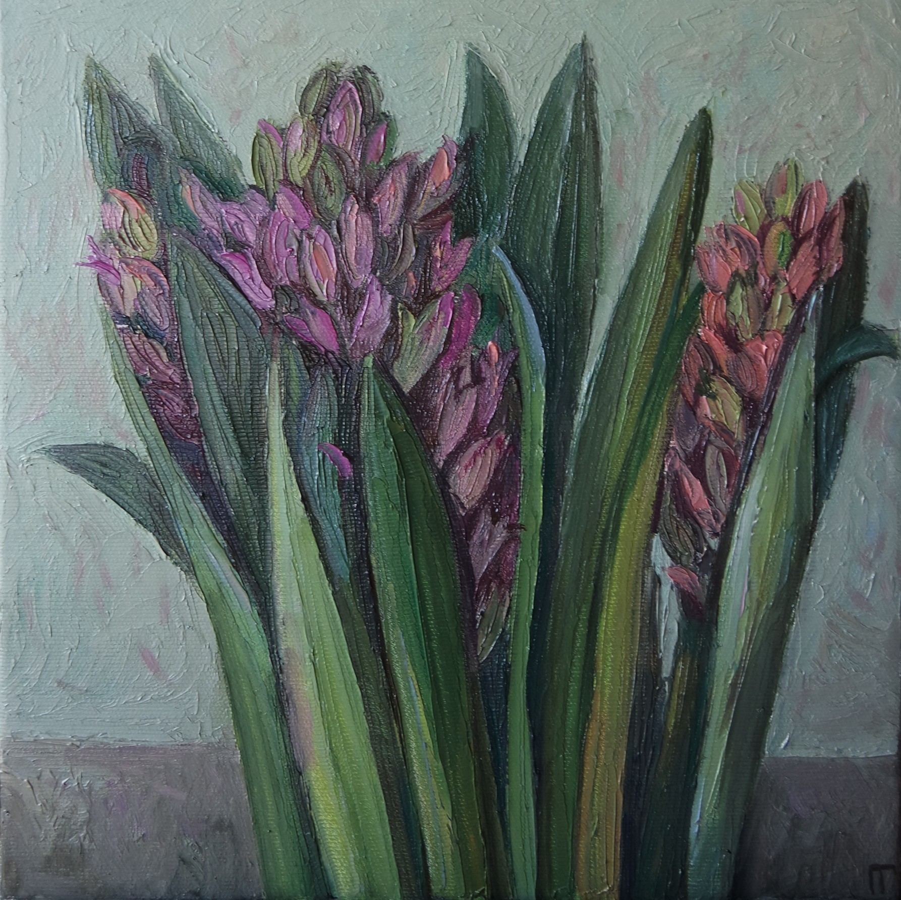 Galya Popova, Etude Galya Popova, Etude