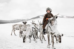Fotografien, XX 204 // XX Tsaatan, Mongolia (S), Jimmy Nelson