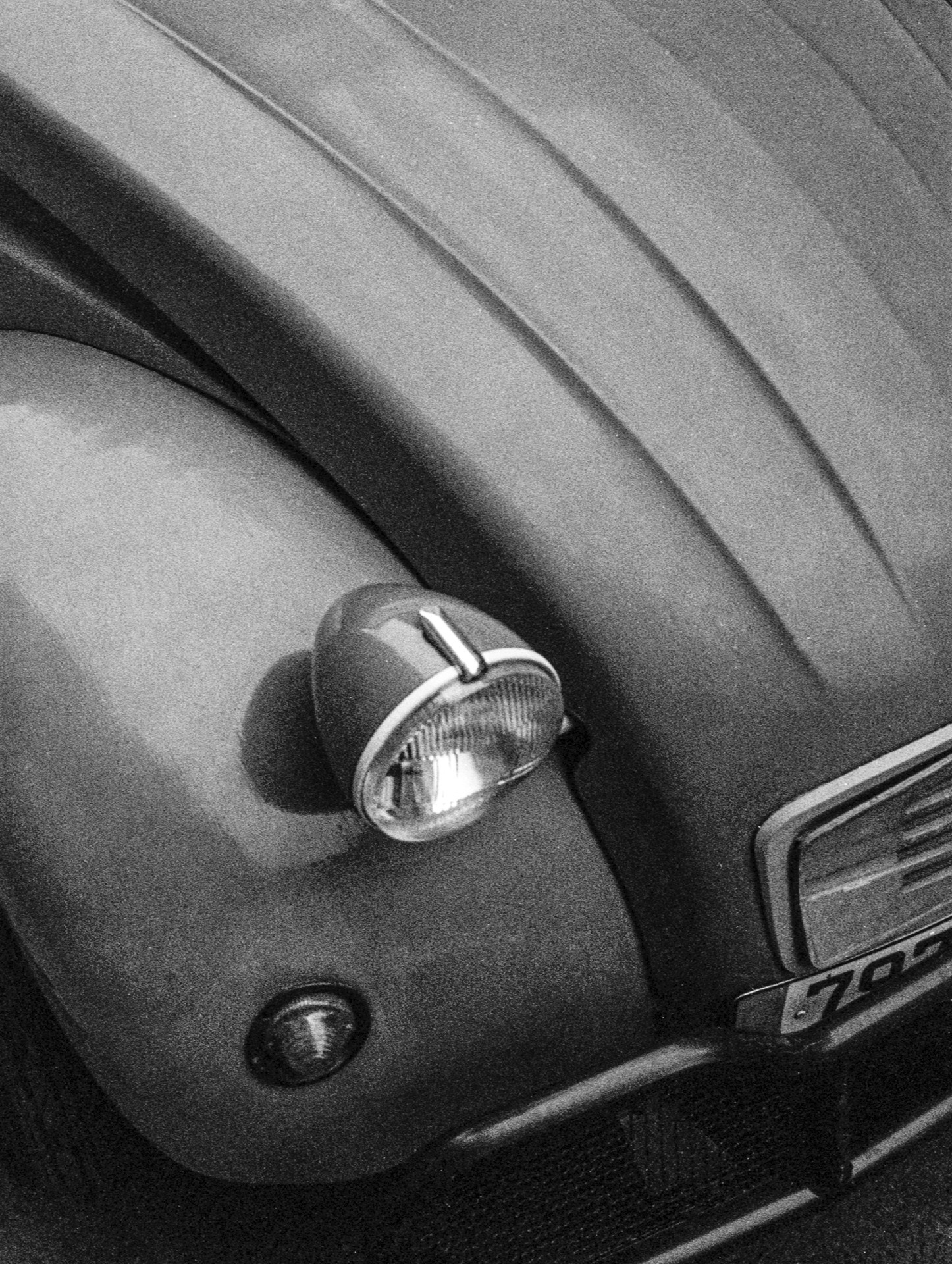Bertrand Nicolas, Deux chevaux - Size S Bertrand Nicolas, Deux chevaux - Size S