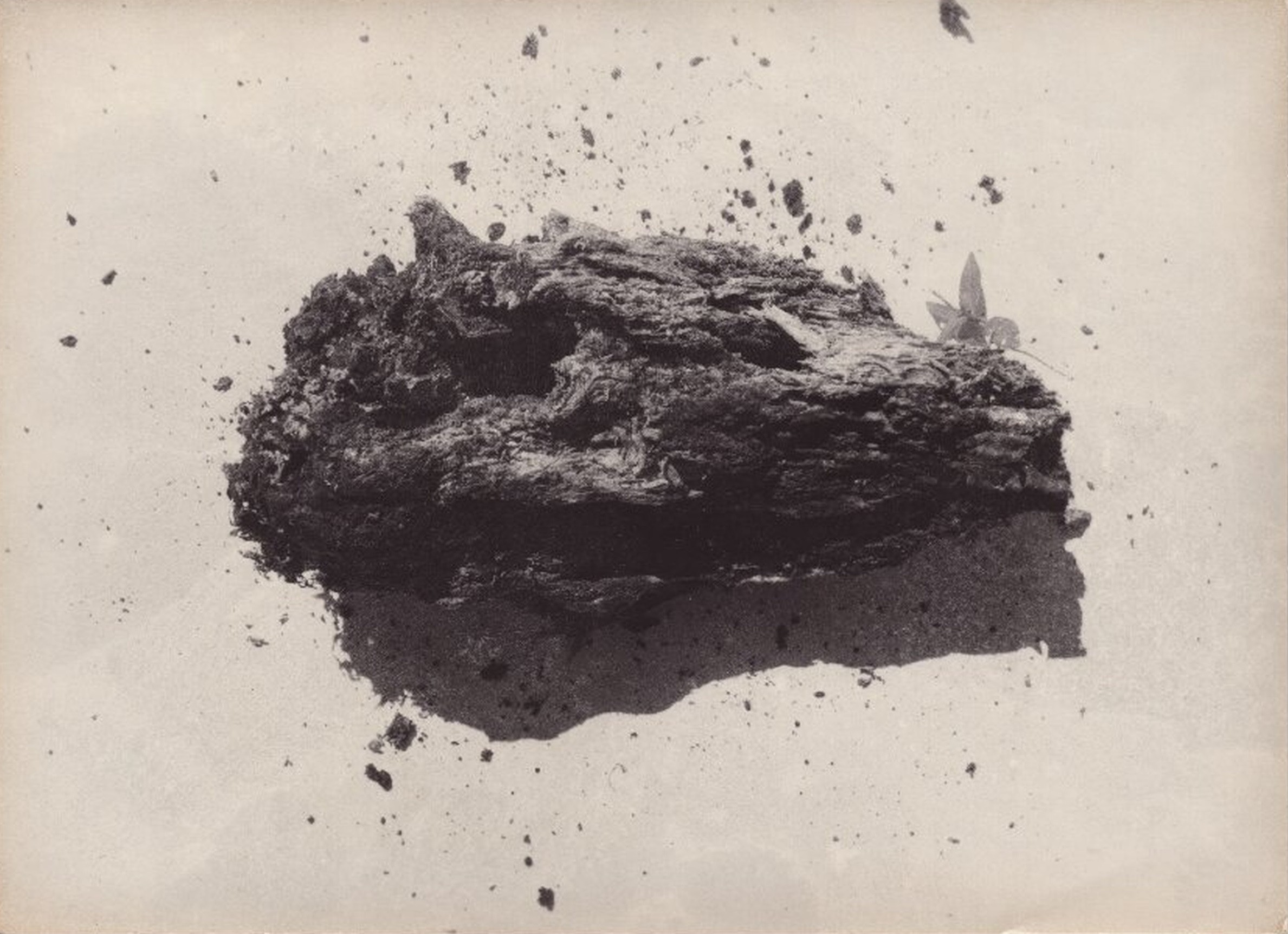 Giorgi Shengelia, Untitled Giorgi Shengelia, Untitled