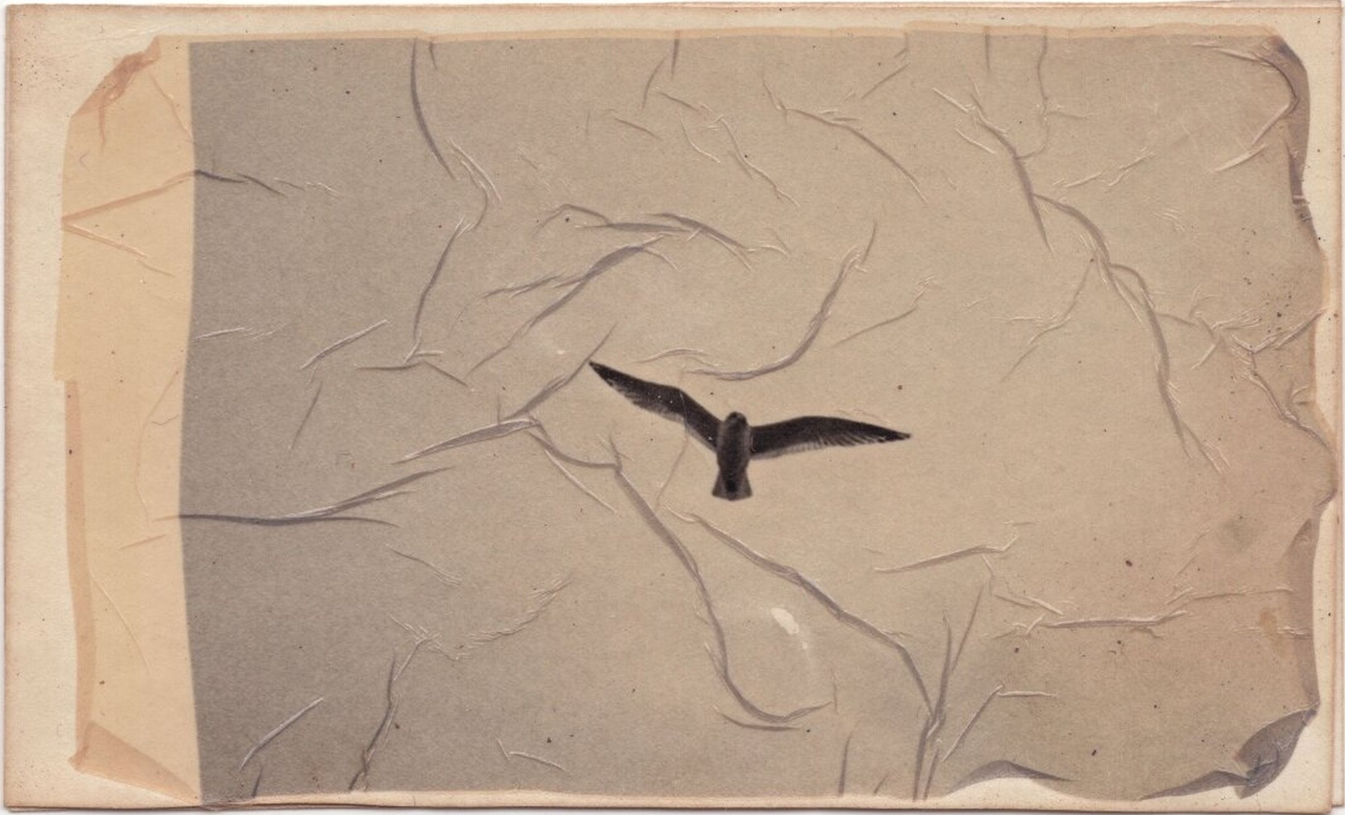 Giorgi Shengelia, Untitled Giorgi Shengelia, Untitled