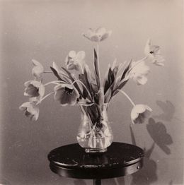 Photography, Museum Flowers, Giorgi Shengelia