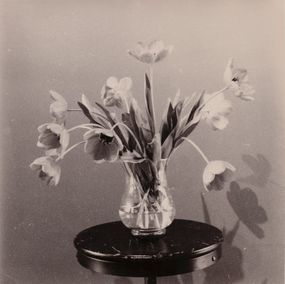 Photography, Victorian Flowers, Giorgi Shengelia