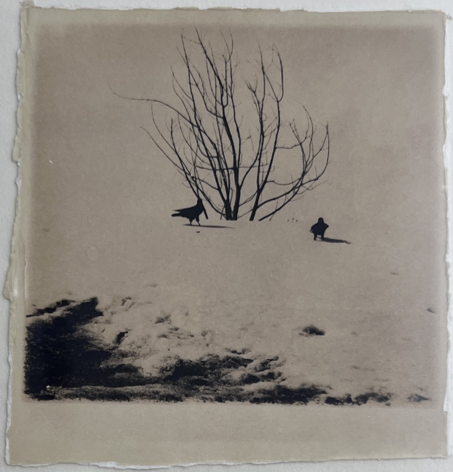Giorgi Shengelia, Untitled Giorgi Shengelia, Untitled