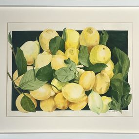 Fine Art Drawings, 23 Lemons, Iryna Antoniuk