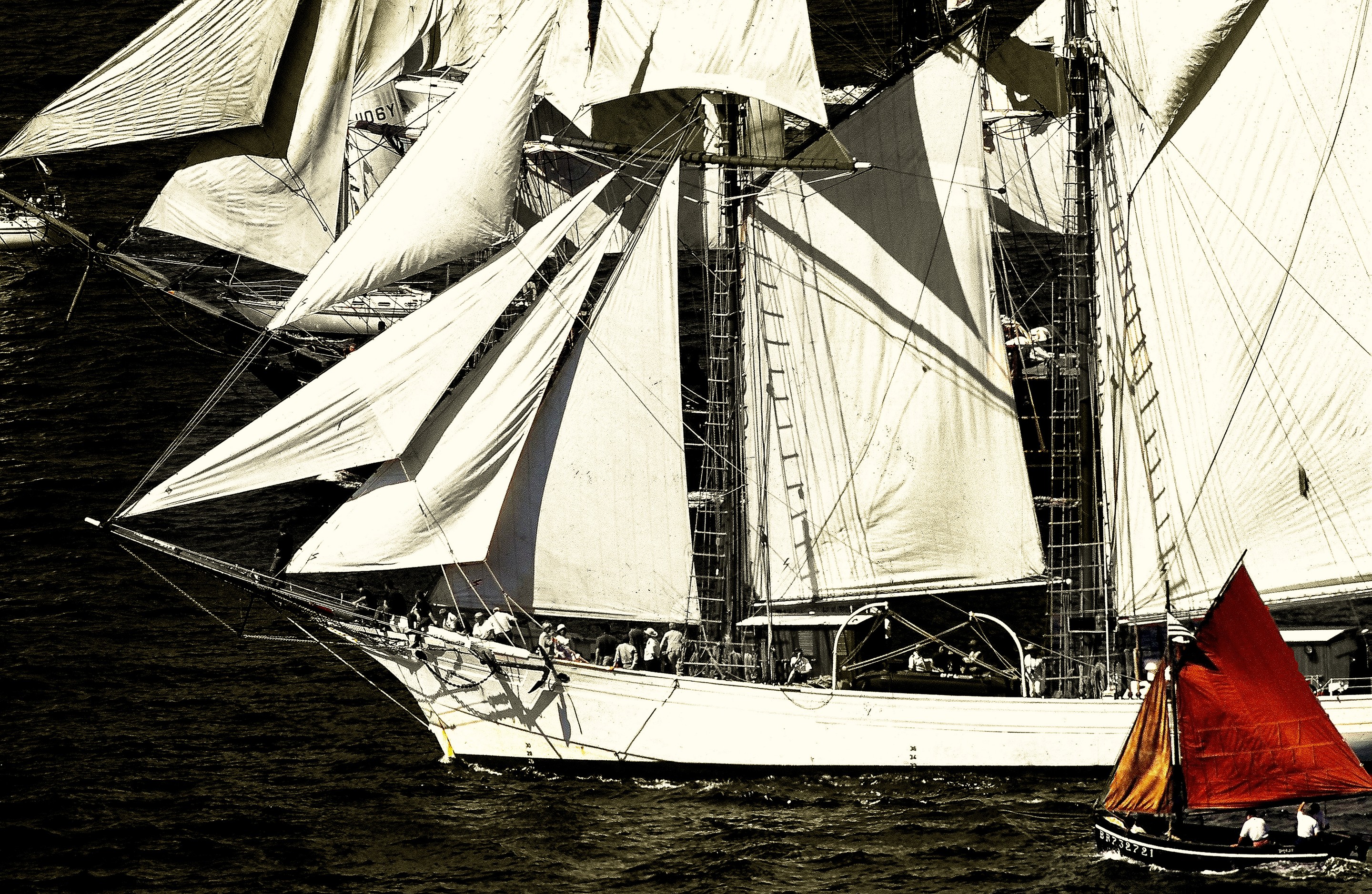 Dominique Leroy, Voile et grandes voiles. Dominique Leroy, Voile et grandes voiles.