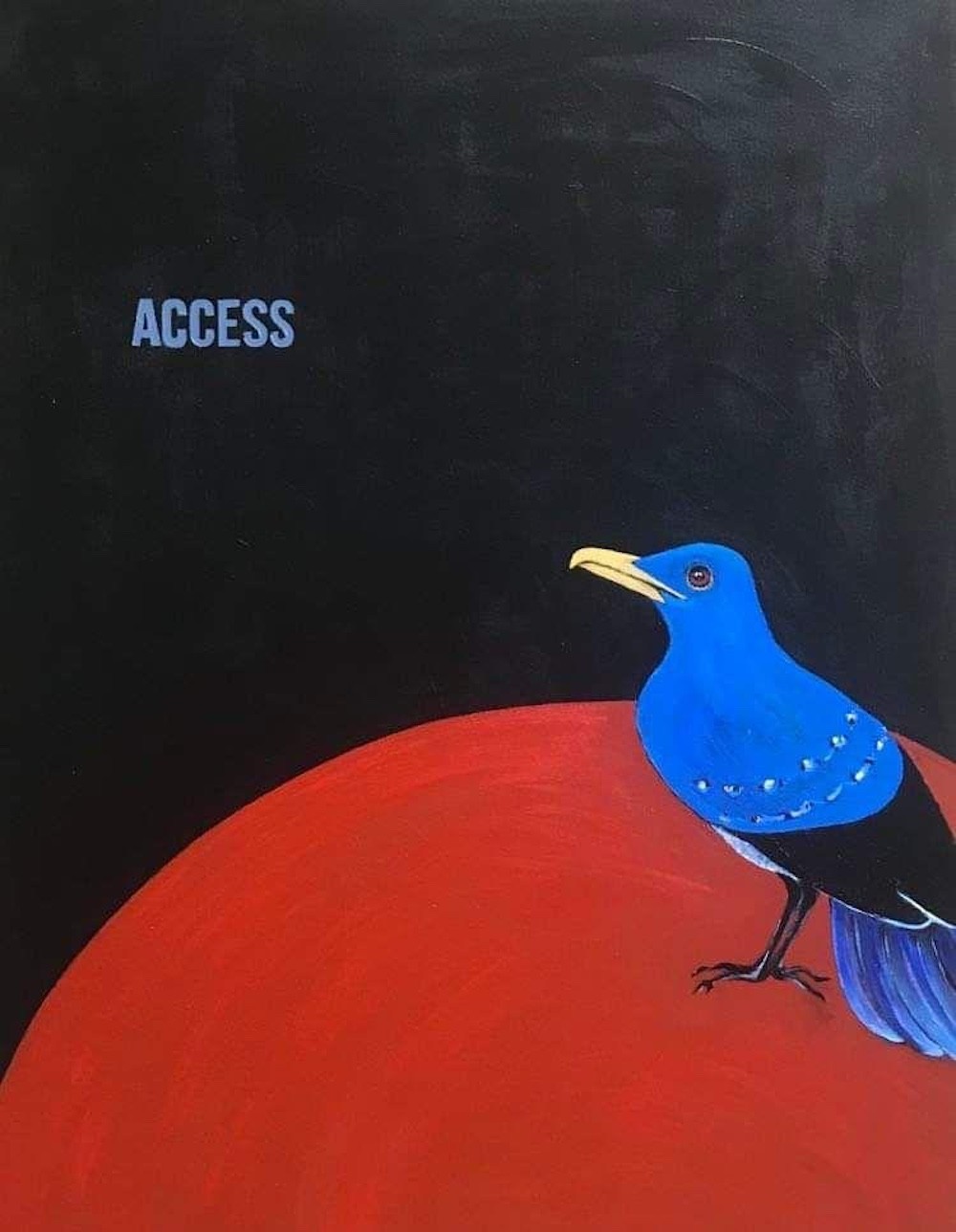Nino Nasidze, Access Nino Nasidze, Access