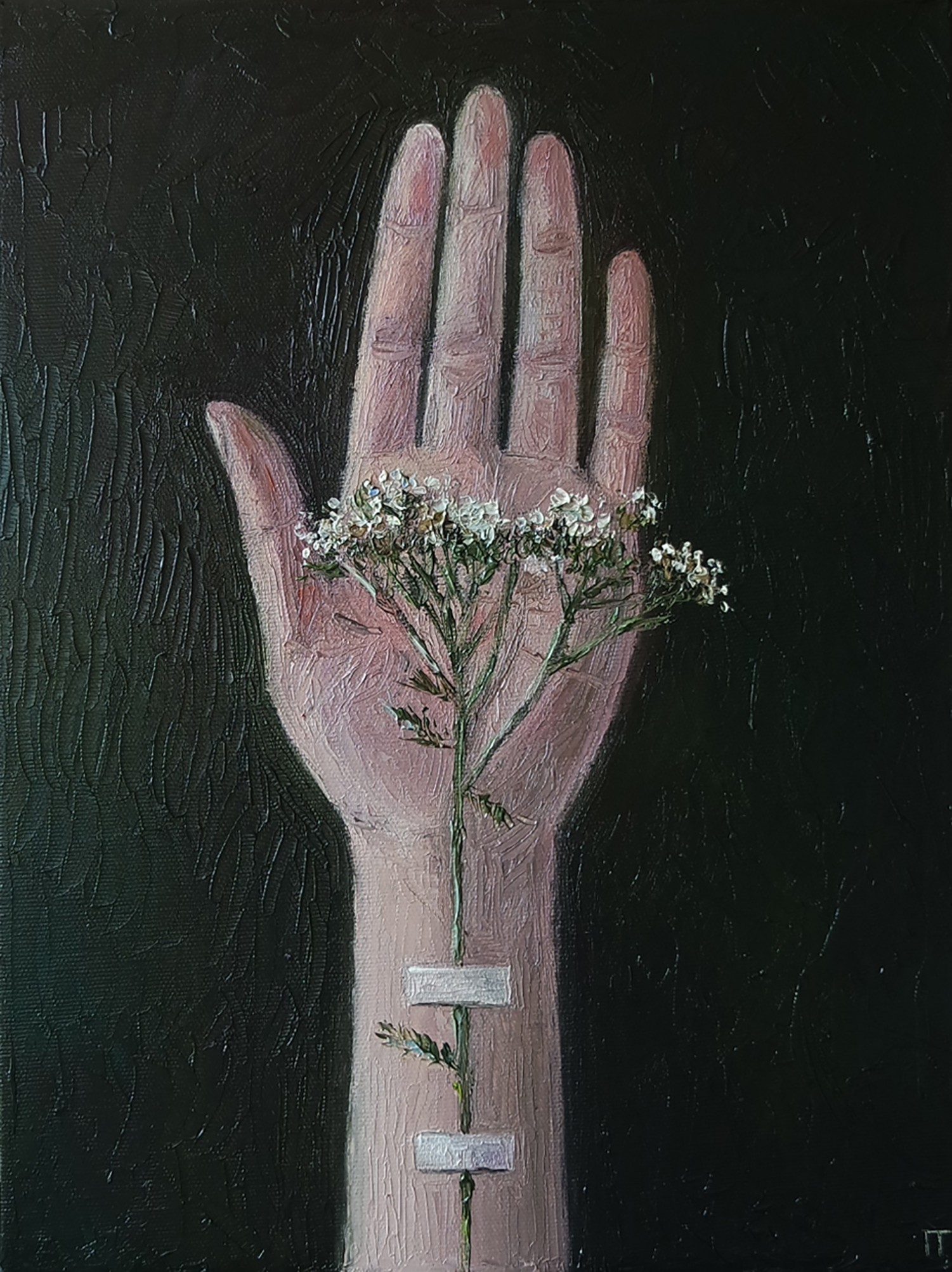 Galya Popova, Lifeline Galya Popova, Lifeline