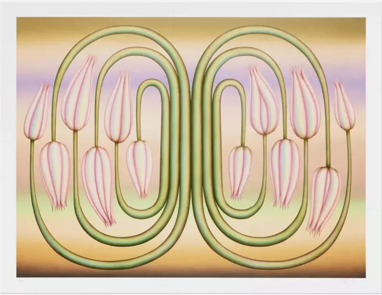 Molly Greene, Insinuator Molly Greene, Insinuator