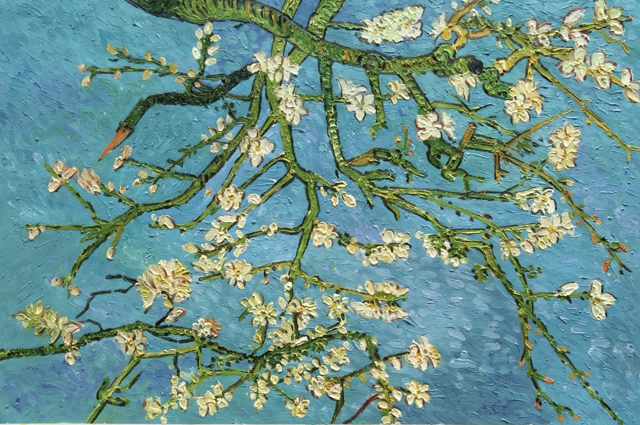 Weiquan Liu, Fleurs de mei Weiquan Liu, Fleurs de mei