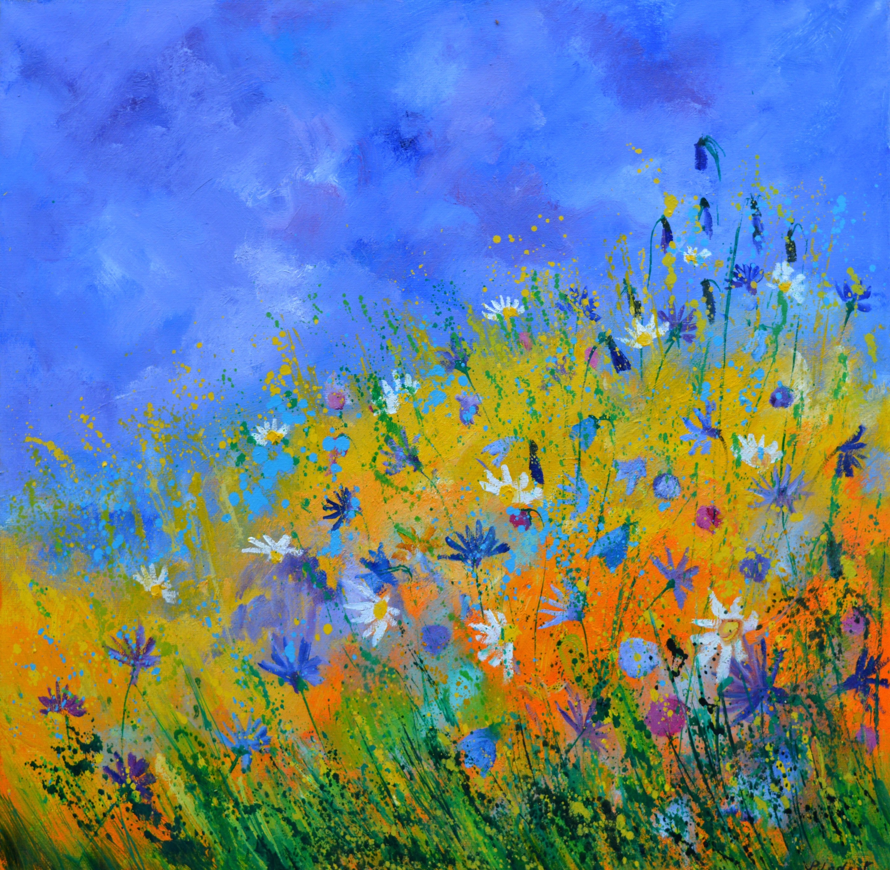 Pol Ledent, Wild flowers Pol Ledent, Wild flowers