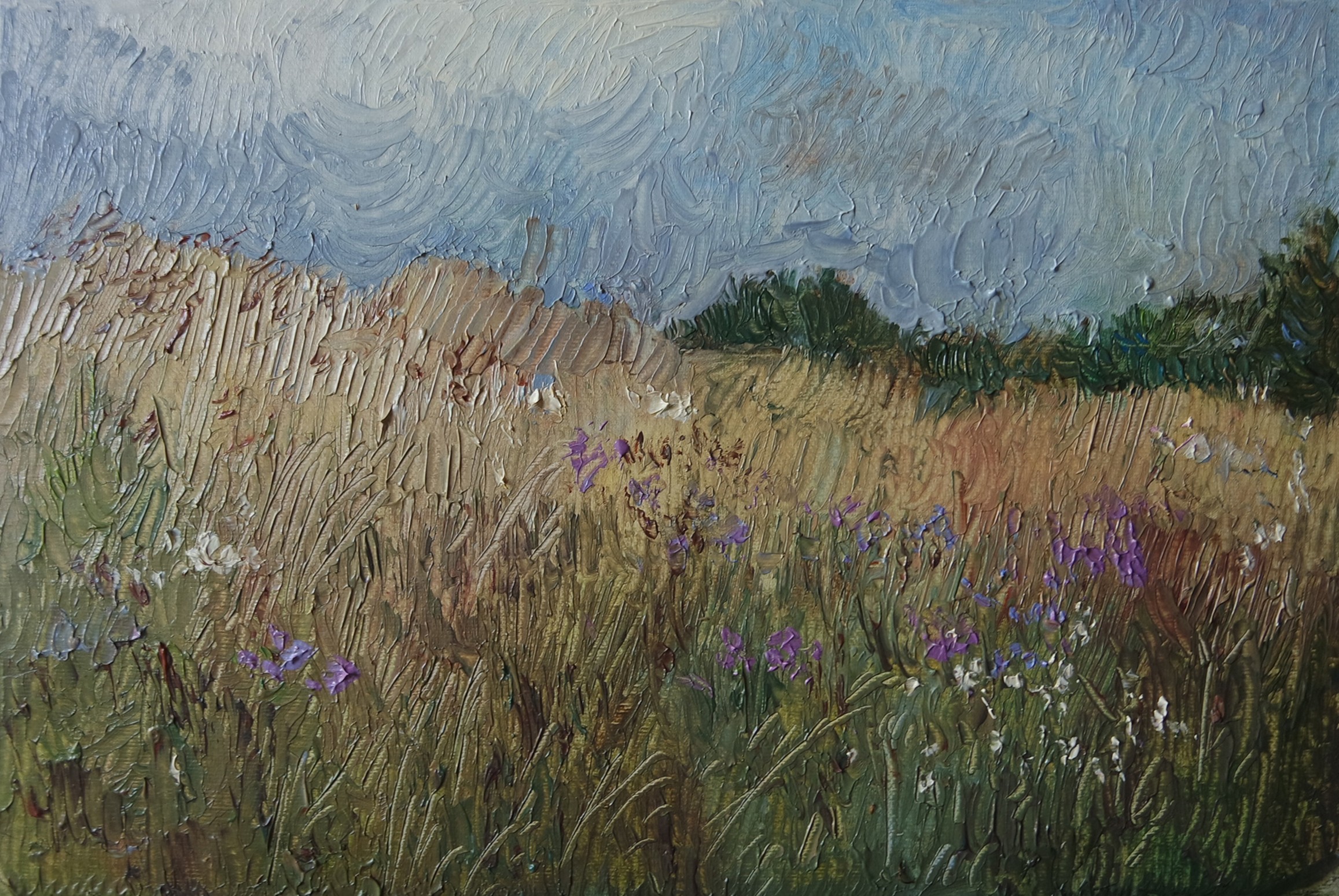Galya Popova, Field in Geislar Galya Popova, Field in Geislar