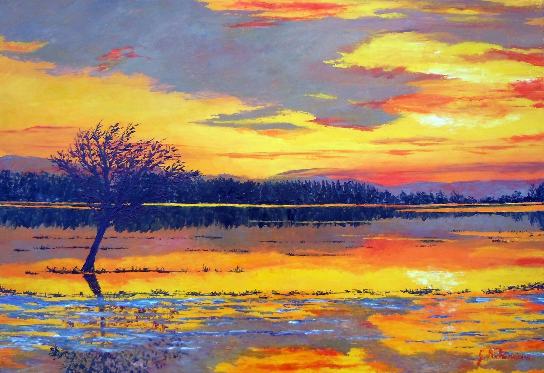 Gyslaine Pachet-Micheneau, Lumière Gyslaine Pachet-Micheneau, Lumière