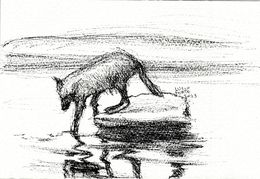 Dibujo, Wolf Lake, Lucio Forte