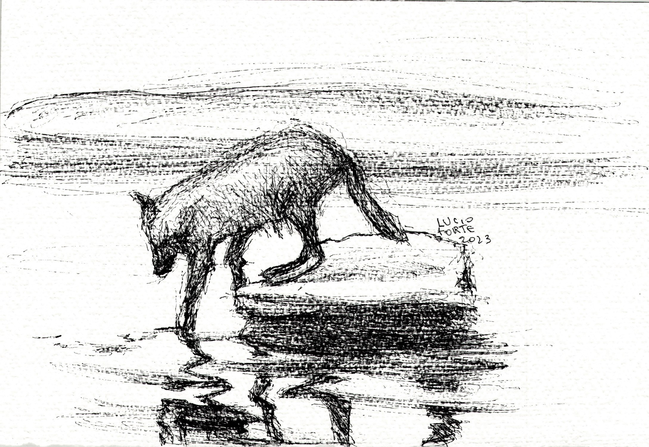 Lucio Forte, Wolf Lake Lucio Forte, Wolf Lake