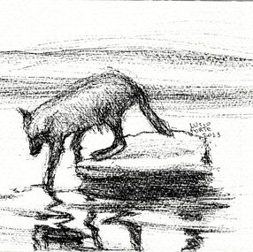 Fine Art Drawings, Wolf Lake, Lucio Forte