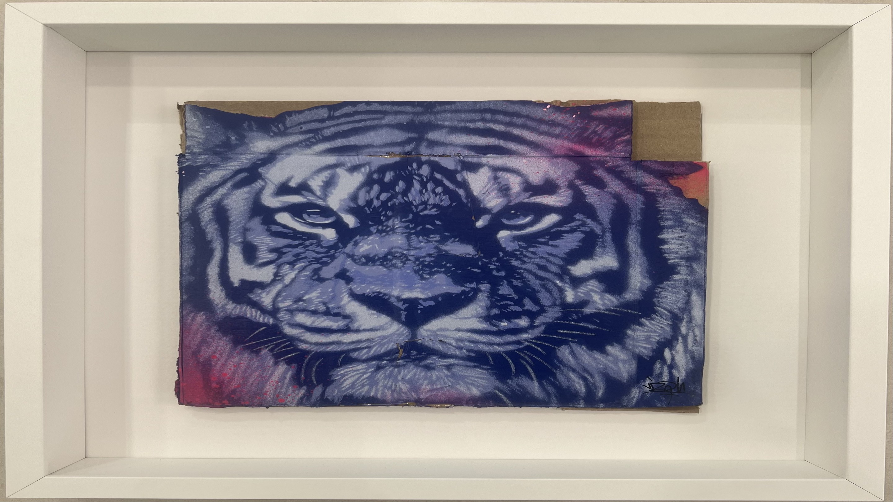 Viza, Tigre Viza, Tigre