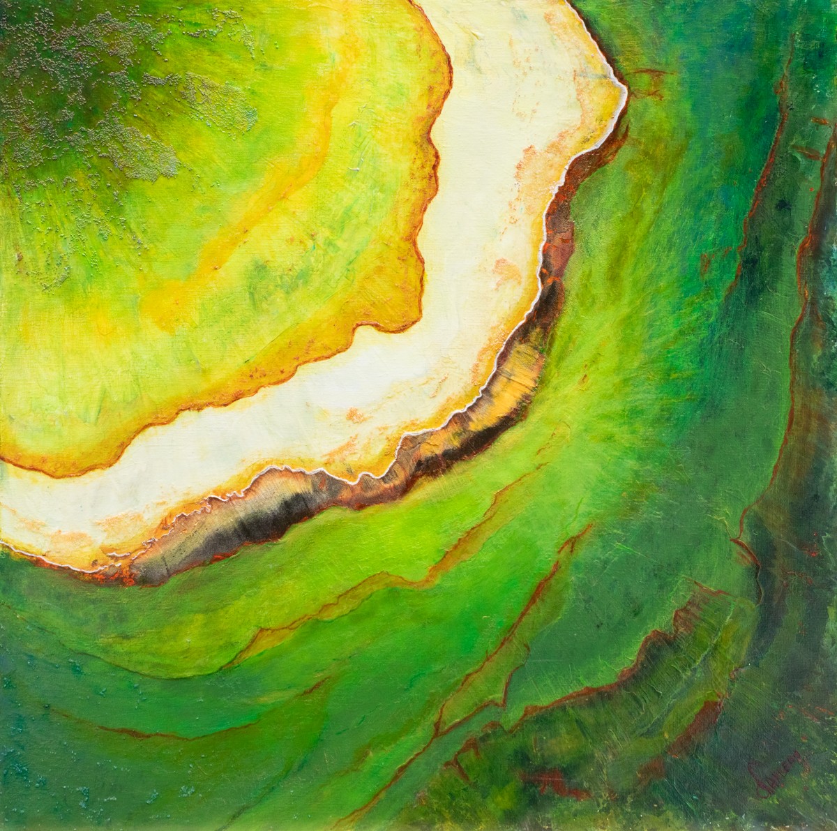 Thierry Nauleau, Bayou - eau et terre vu du ciel - Paysage Thierry Nauleau, Bayou - eau et terre vu du ciel - Paysage