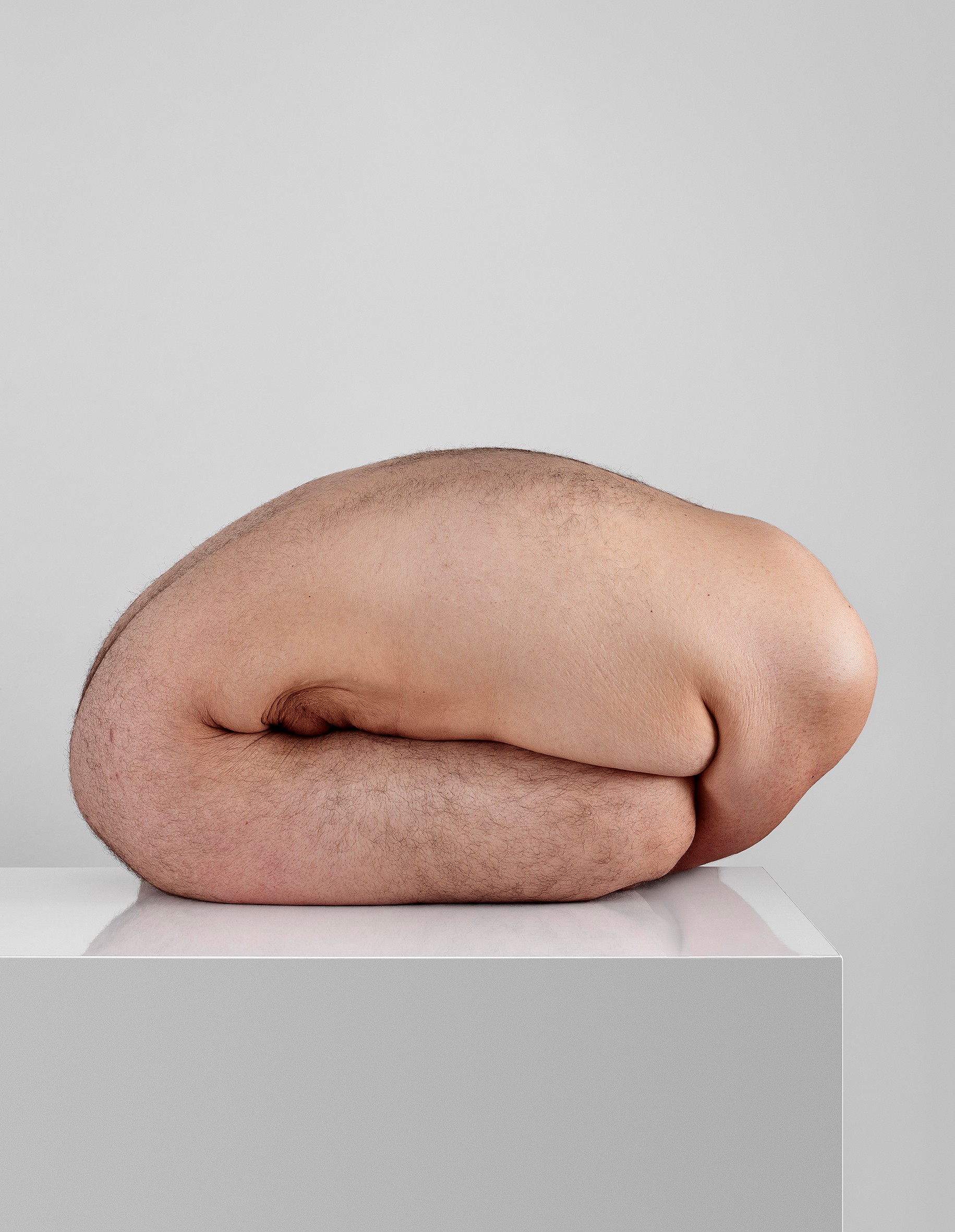 Javier Rey, Amorphisms 1 Javier Rey, Amorphisms 1