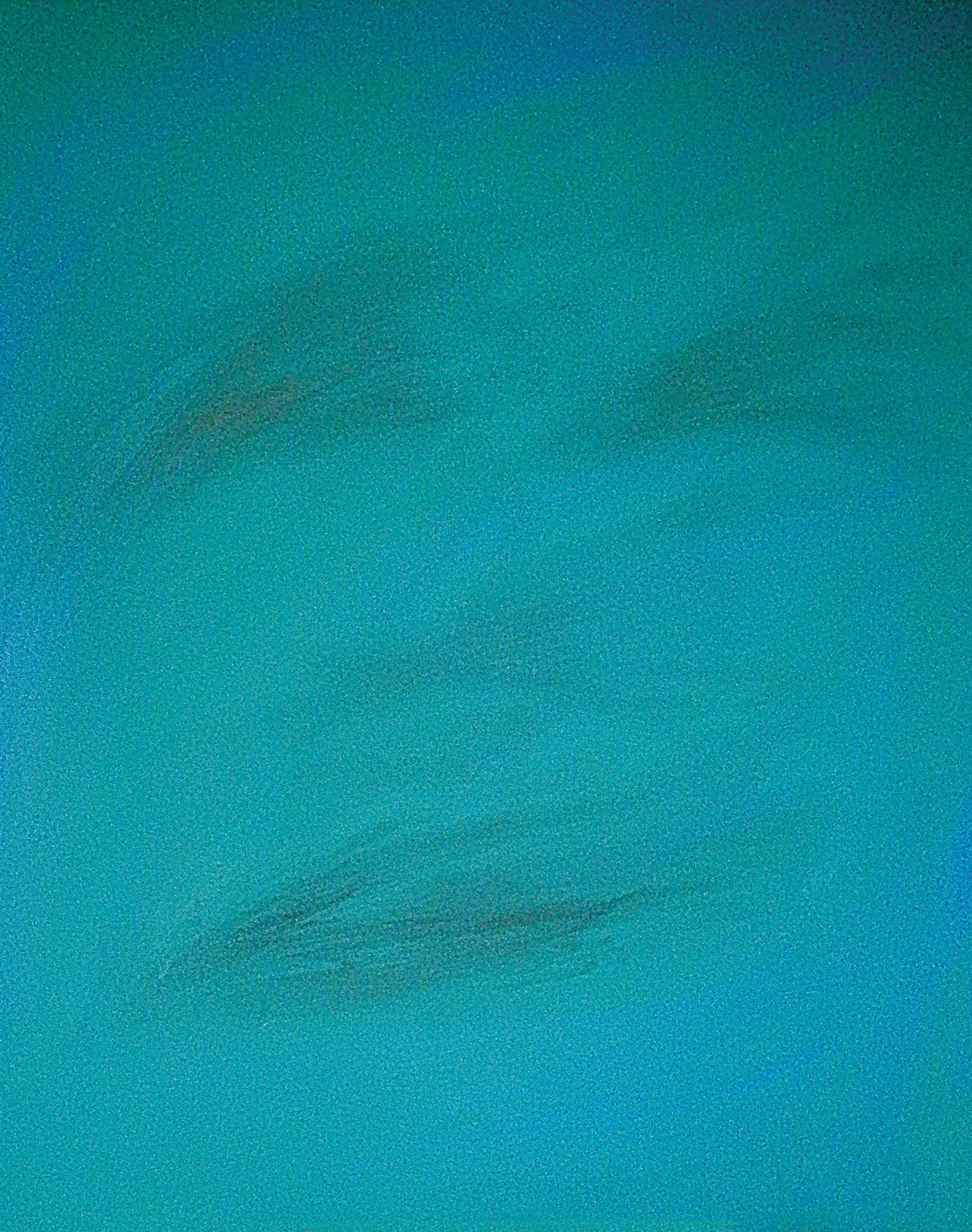 Paolo Scaglioni, The memory 1 Paolo Scaglioni, The memory 1
