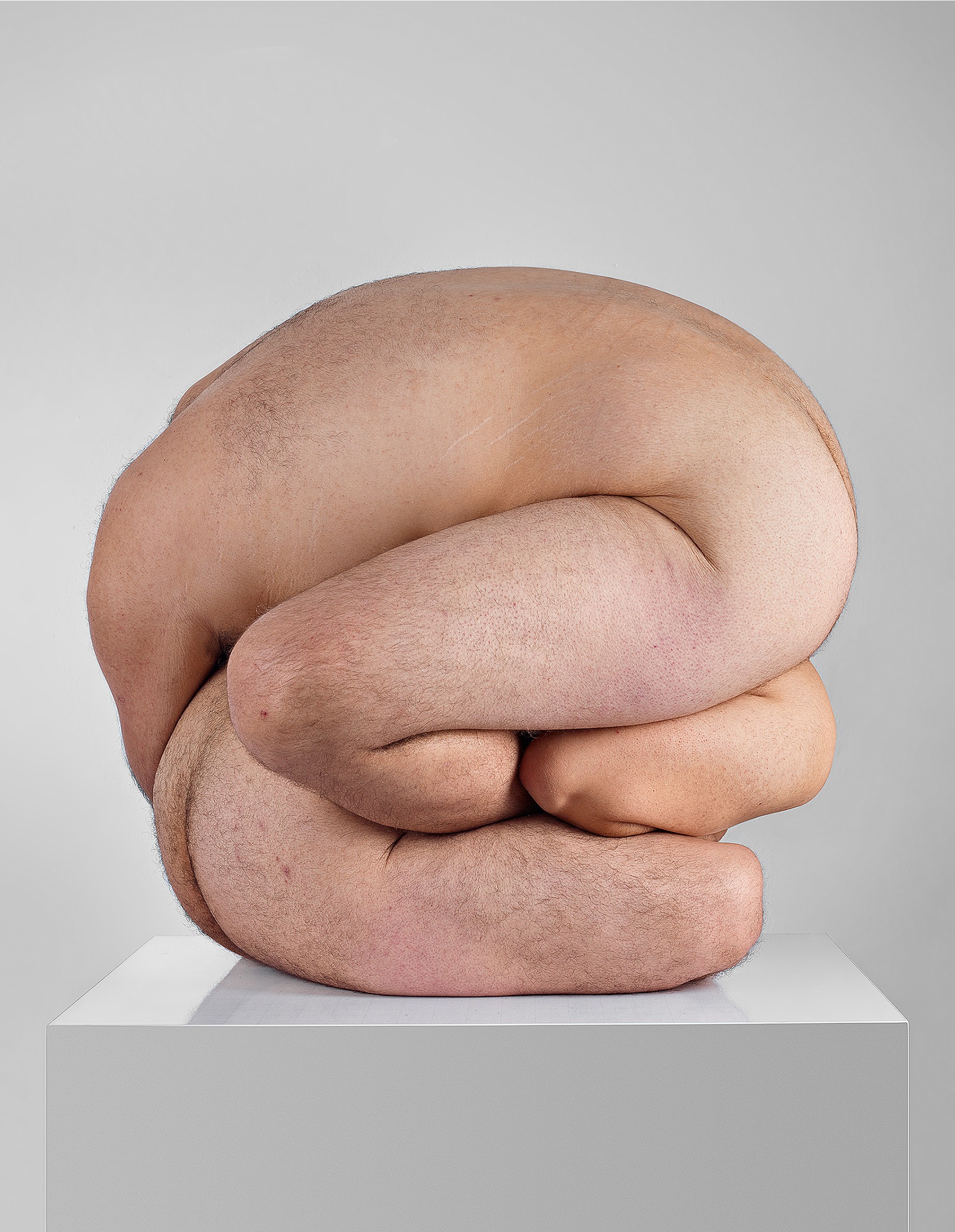 Javier Rey, Amorphisms 4 Javier Rey, Amorphisms 4