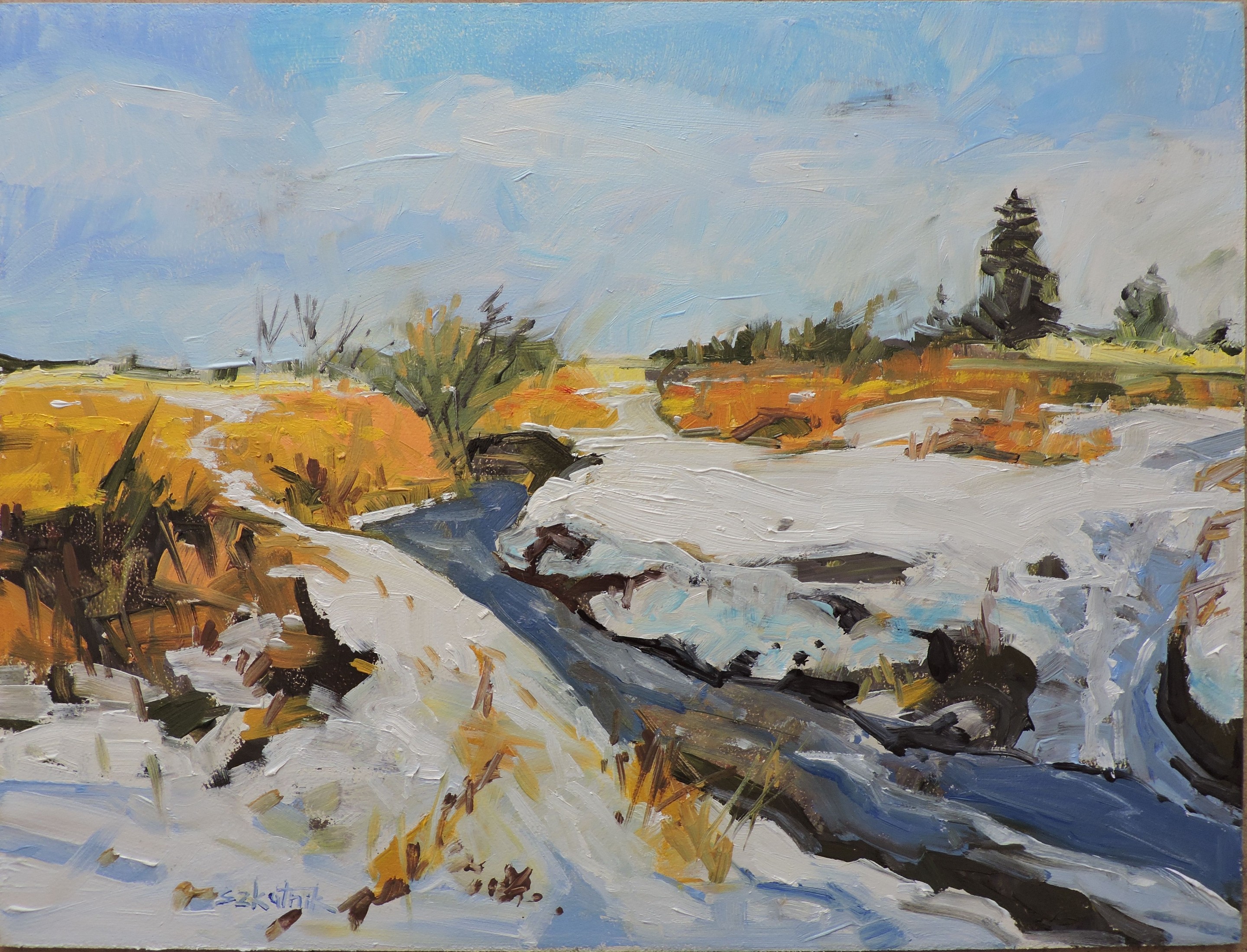 Richard Szkutnik, Winter Fields Richard Szkutnik, Winter Fields
