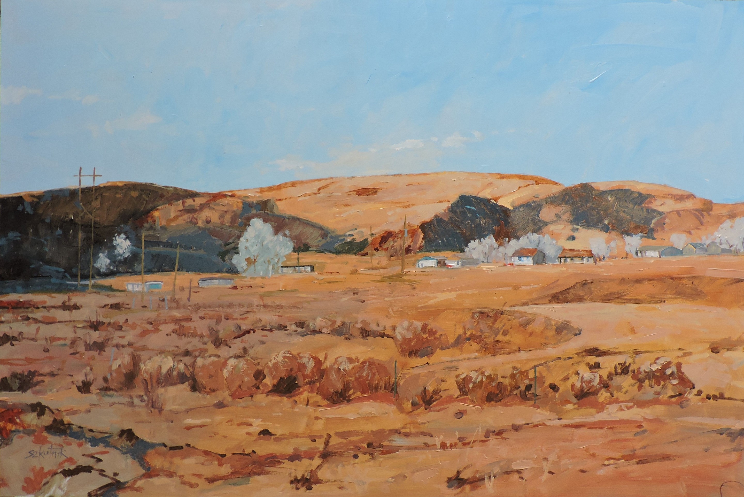Richard Szkutnik, Desert Farm Richard Szkutnik, Desert Farm